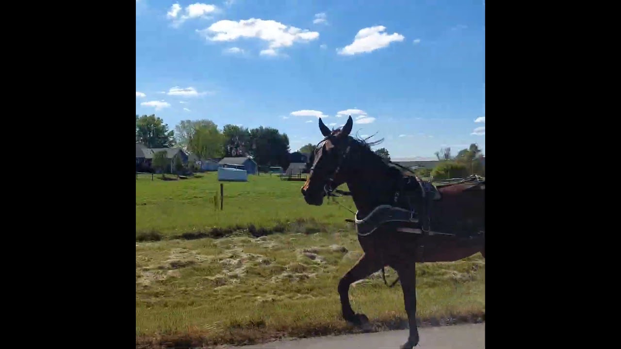 Morning Cruise 