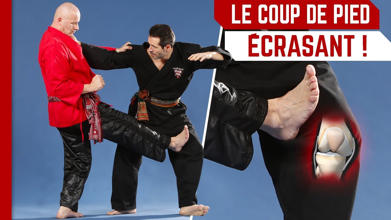 IMMOBILISER UN ADVERSAIRE AVEC UNE SEULE FRAPPE !