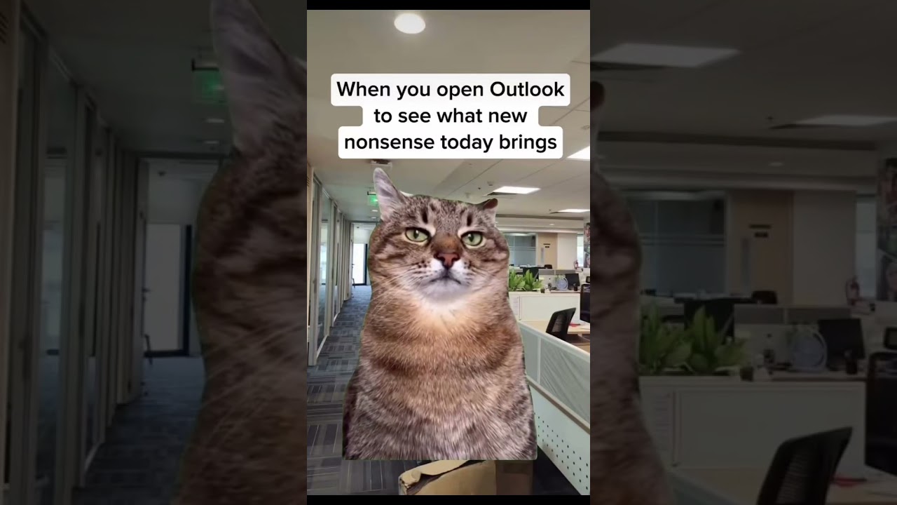 let's find a time to discuss the needs to bring our team in full alignment #meme #worklife