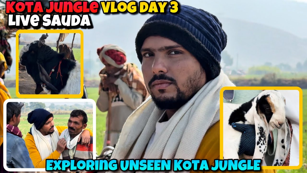 KOTA JUNGLE VLOG DAY 3 | kya AAJ MILEGA BADA KOTA?