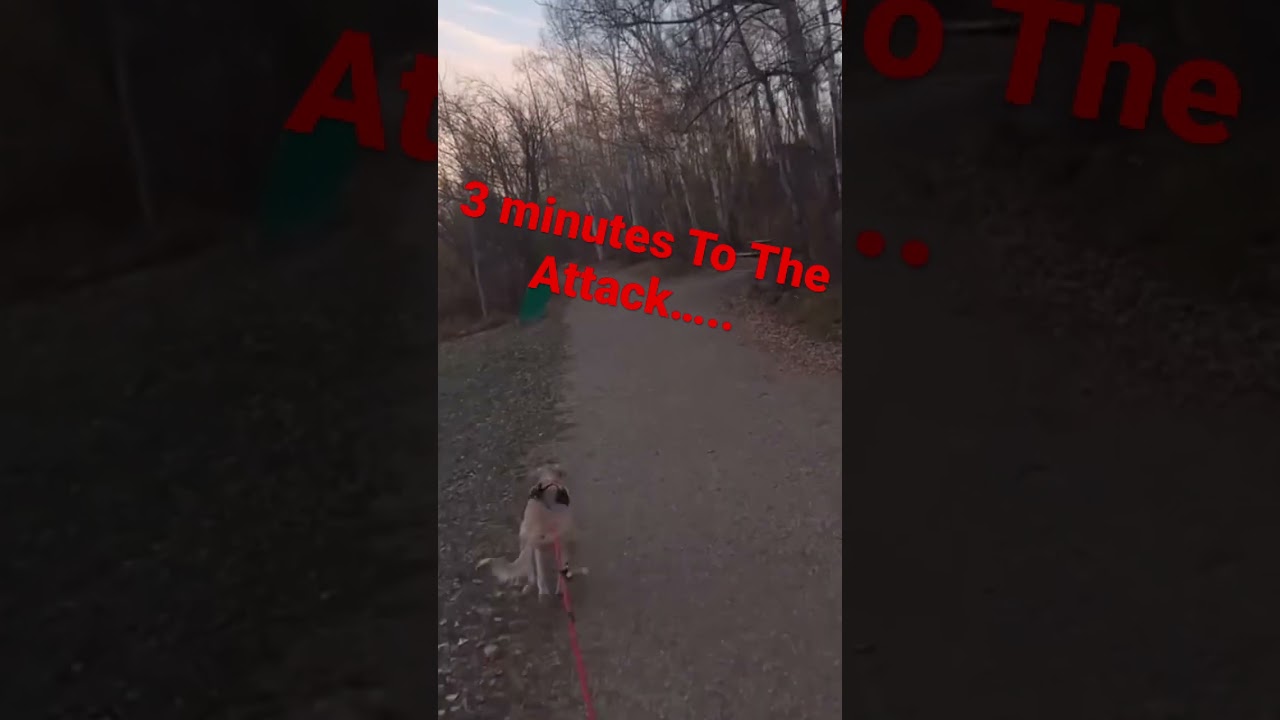 3 minutes to the attack!!! 