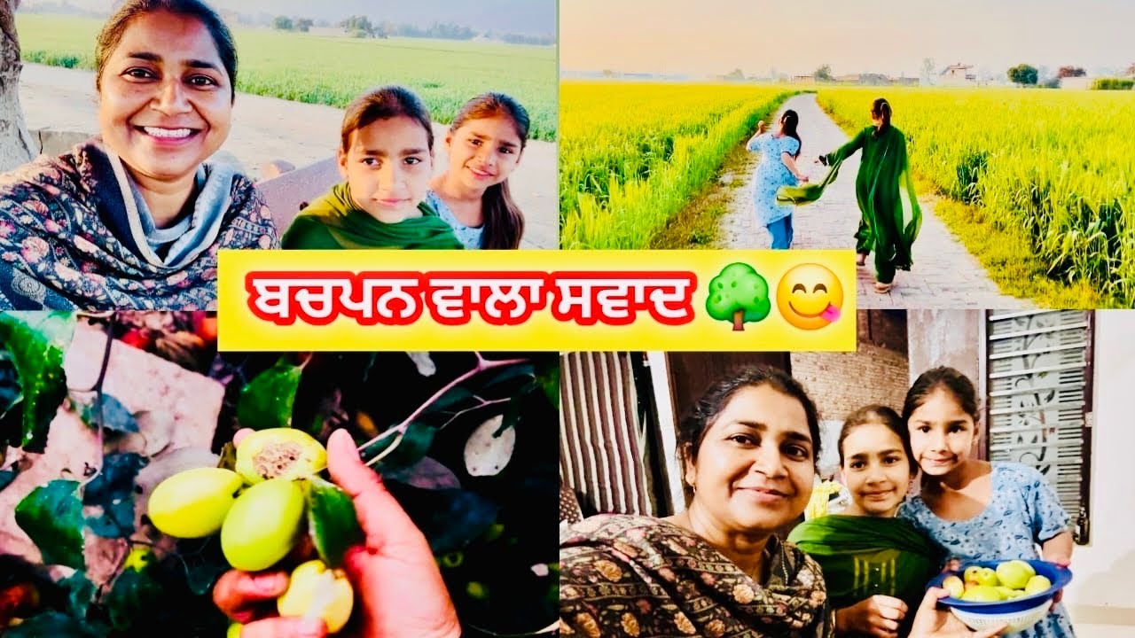 ਮਾਸੀ ਦੇ ਘਰ ਫੇਰ ਬੇਰ ਲੈਣ ਗਏ 😍 | Pind Wali Masti | Punjabi Family Vlog | #kaurneena 