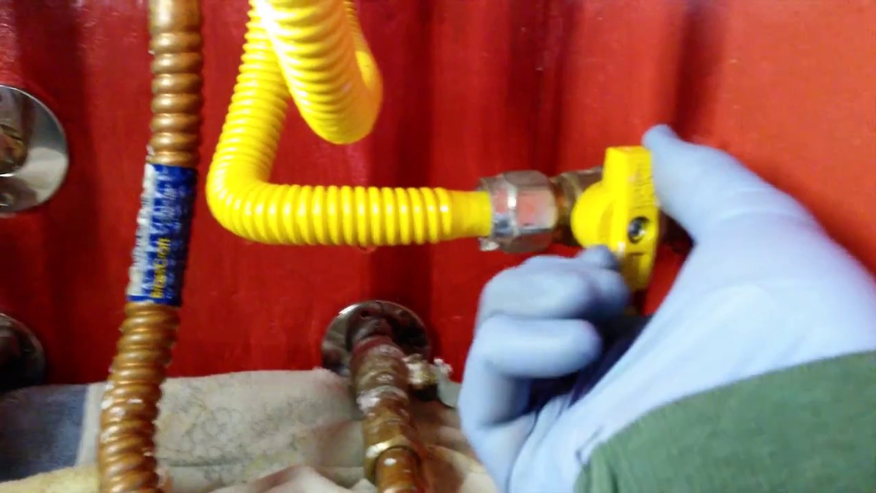 Rheem Tankless Lime and Scale Flushing 2017