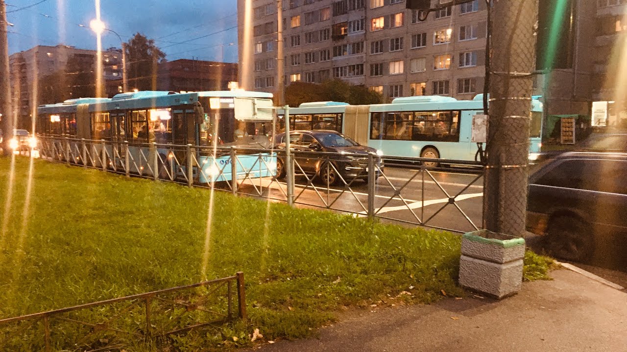 МАЗ-216.066 номер 1243, маршрут 54 (3.10.2023)