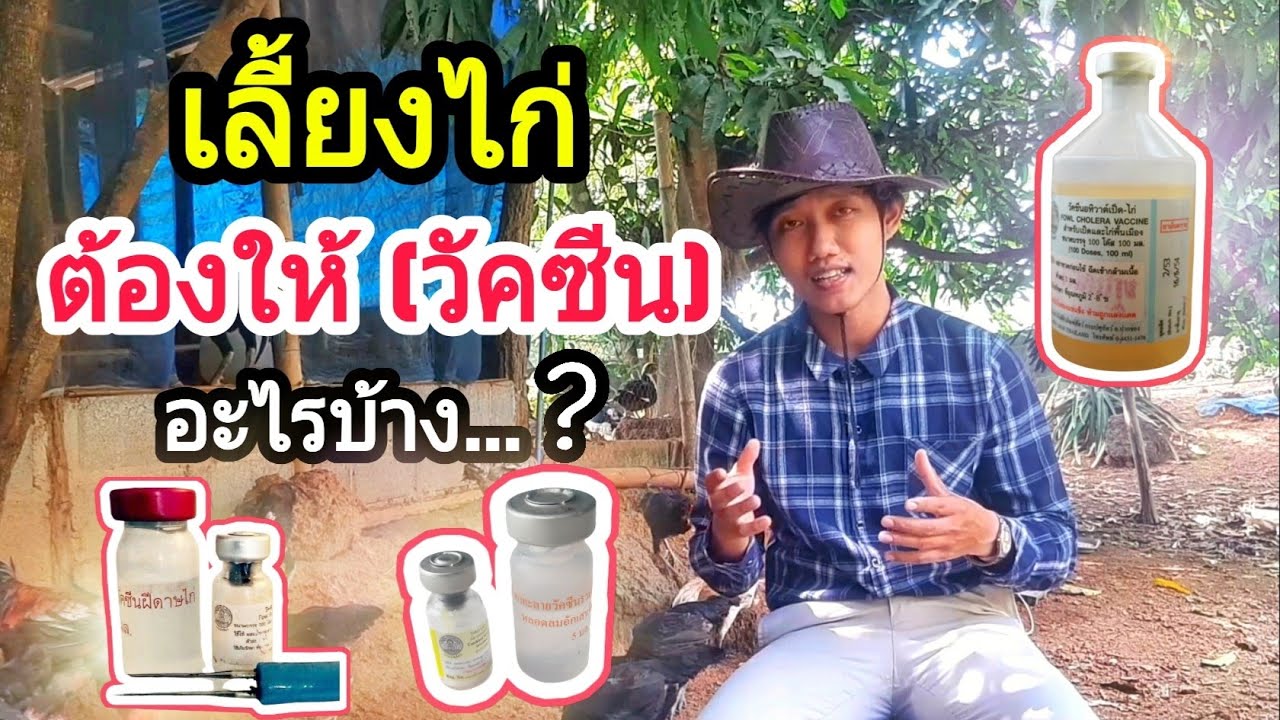 เลี้ยงไก่ ต้องให้วัคซีนอะไรบ้าง? : SMILE FARM