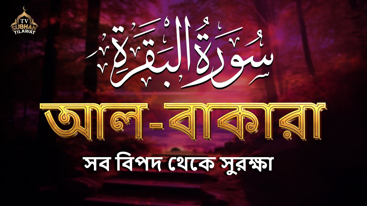 সবচেয়ে হৃদয়স্পর্শী সূরা বাকারা তেলাওয়াত 🌿 কুরআনের আলো ও শান্তির বার্তা | Surah Al Baqarah 💖