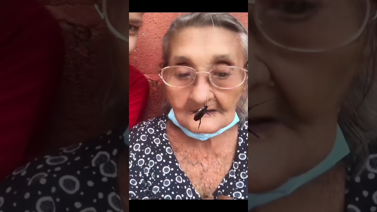 Broma de la cucaracha a mi abuela 🤣🤣 #viralvideo #fypシ #broma #abuela #risas #bromasdivertidas #