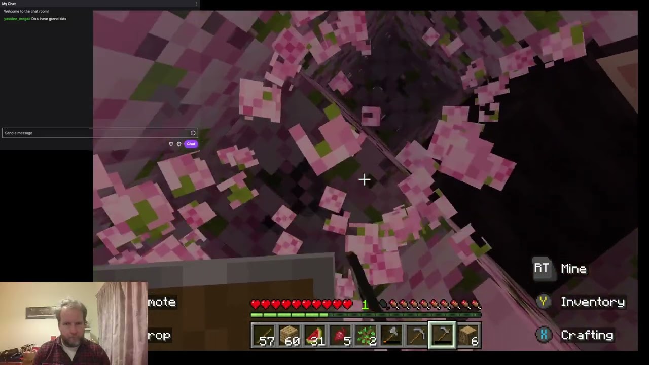 Minecraft Mountain survival day 13