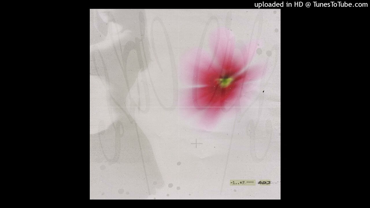 bambinodj - Carrier