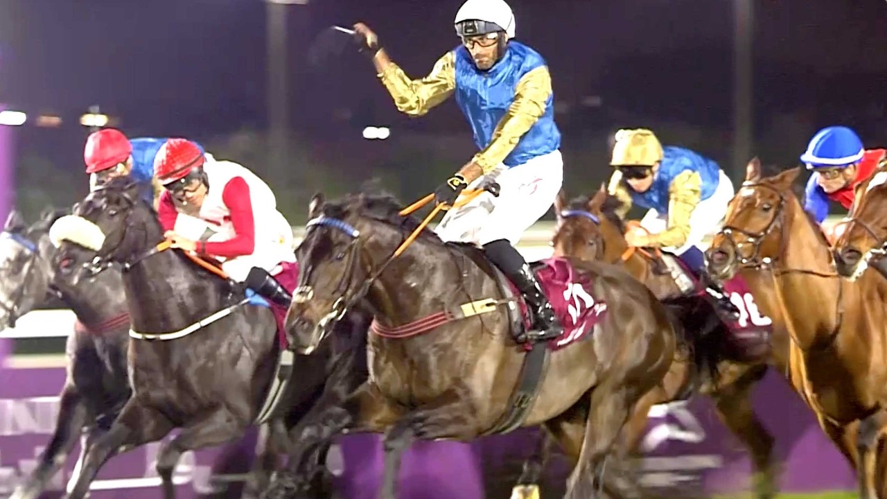 Wathnan is racing in Doha, Riyadh, and Dubai today