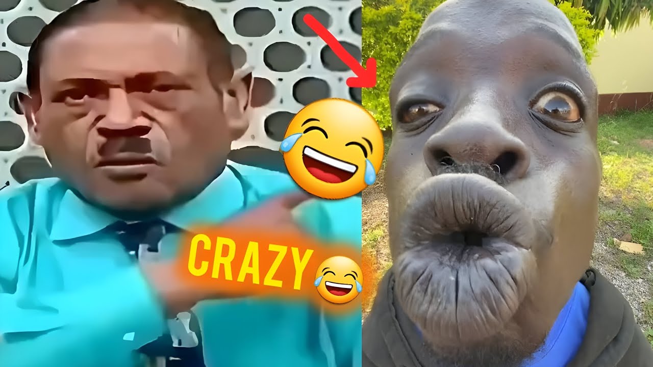 Try Not To Laugh 🤣 TOP 50 Funniest TikTok Videos In The World 🤣 Memes, Epic Fails🔥🎬