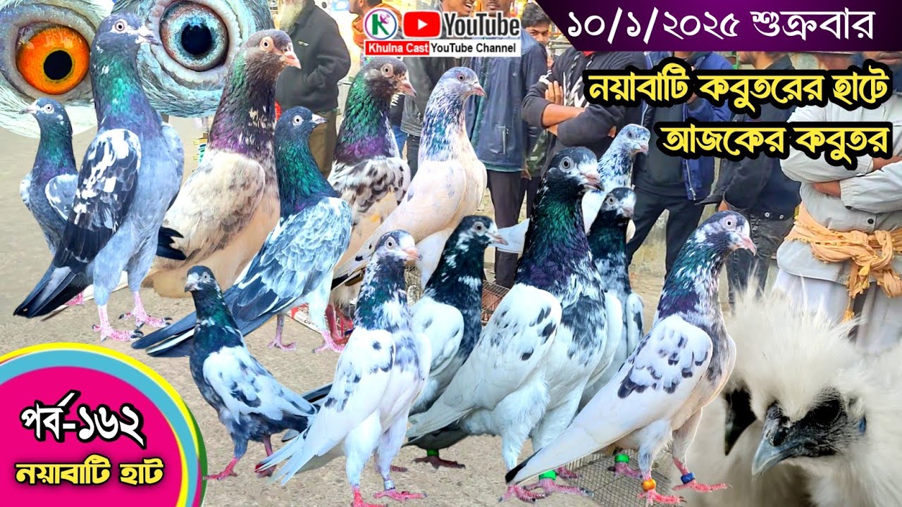 সবথেকে বড় কবুতরের হাট পর্ব-১৬২ Largest pigeon market in Khulna খালিশপুর, নয়াবাটি, চিত্রালী, খুলনা