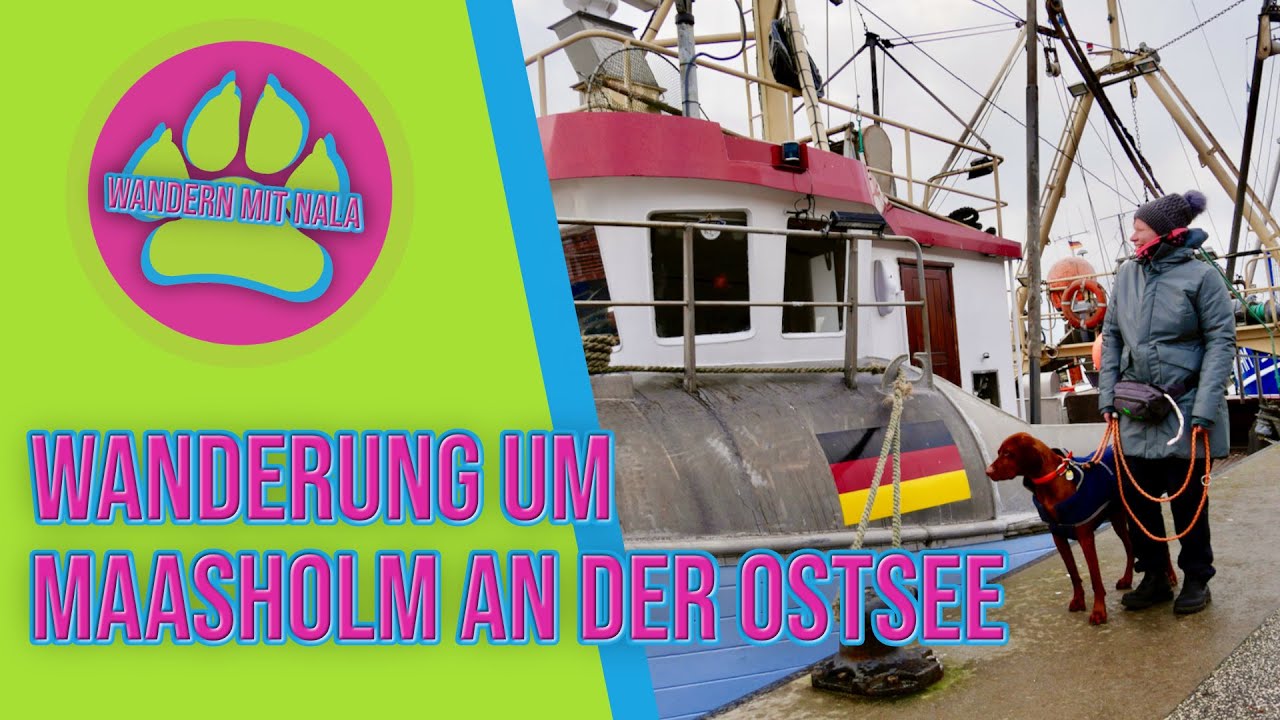 Wanderung um Maasholm an der Ostsee  - Ostsee Urlaub 🏖️ mit Hund - Wandern mit Hund 🐕