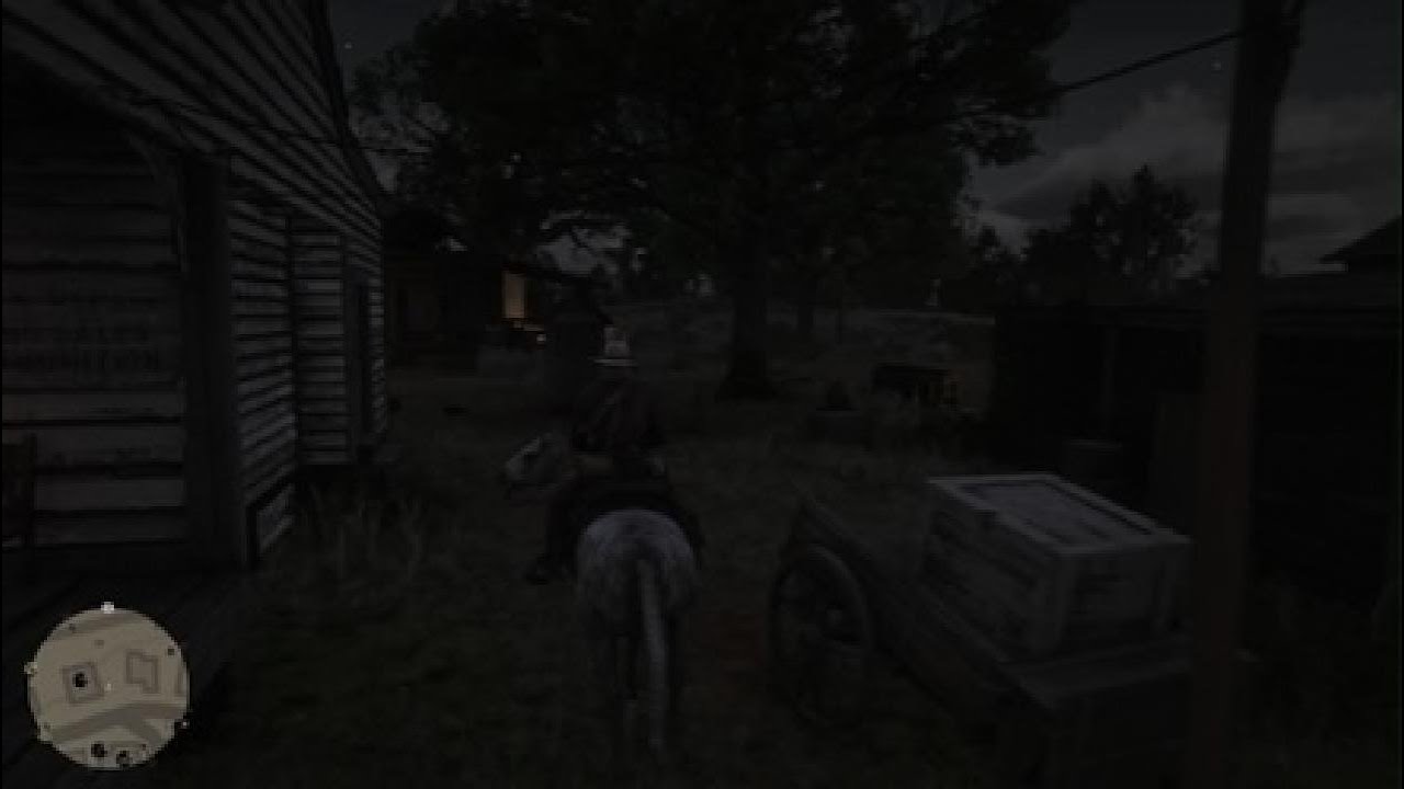 RDR2 GAMEPLAY 48