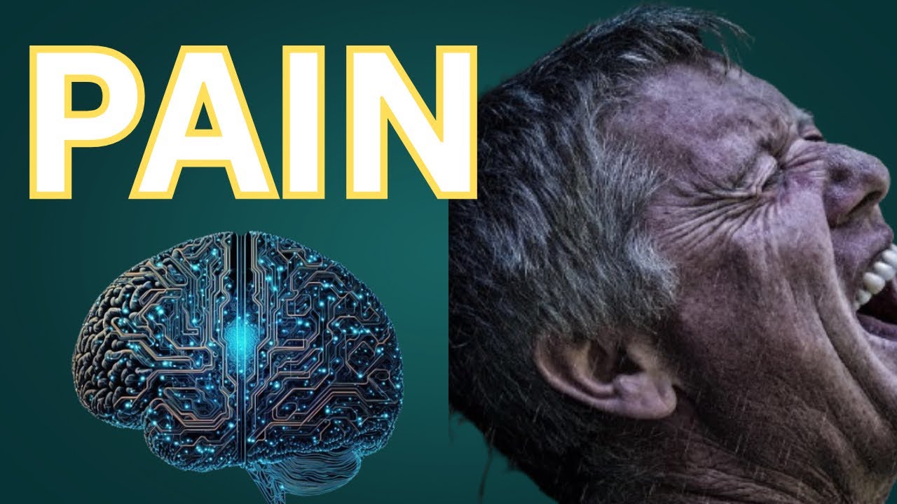 Your Brain Is Wired to Remember Pain — not happiness Here’s Why
