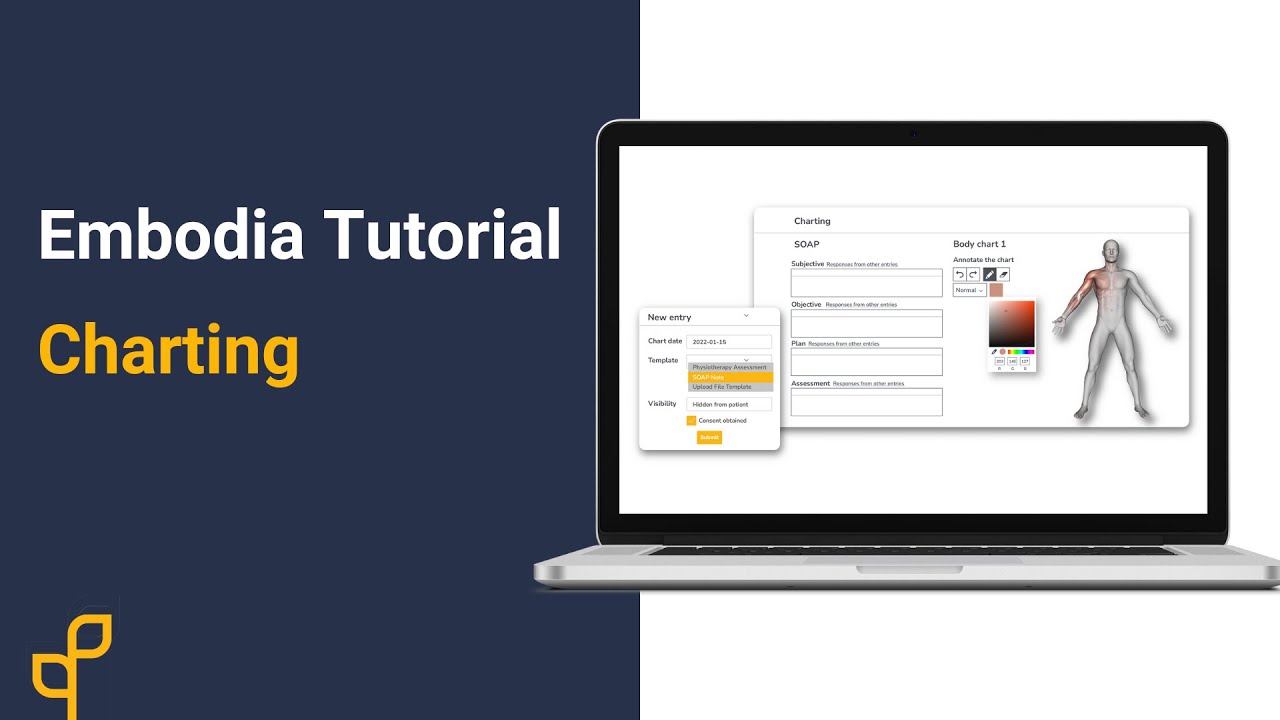 Tutorial | Using Charting on Embodia | Included in Our Practice Management Membership!