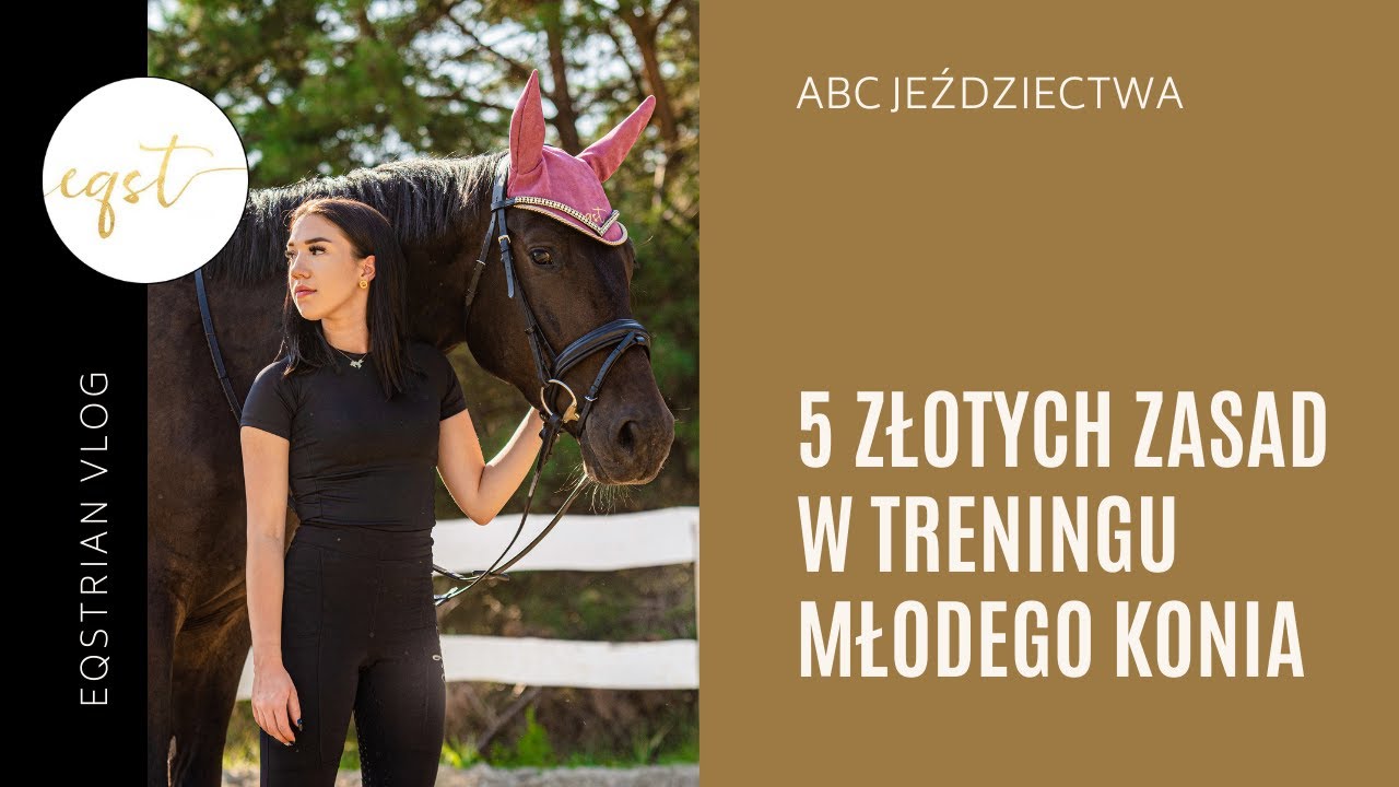 5 ZŁOTYCH ZASAD w treningu młodego konia