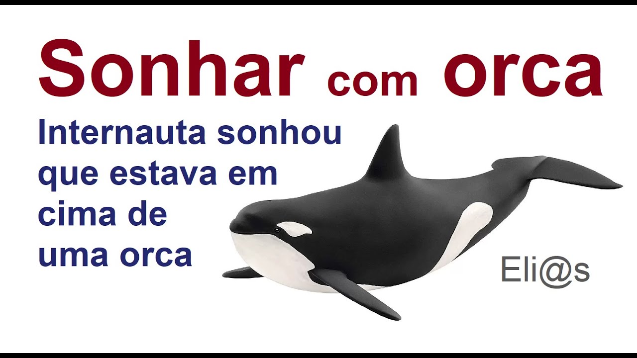 SONHAR COM ORCA  significado