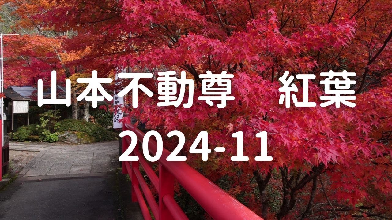 山本不動尊　紅葉