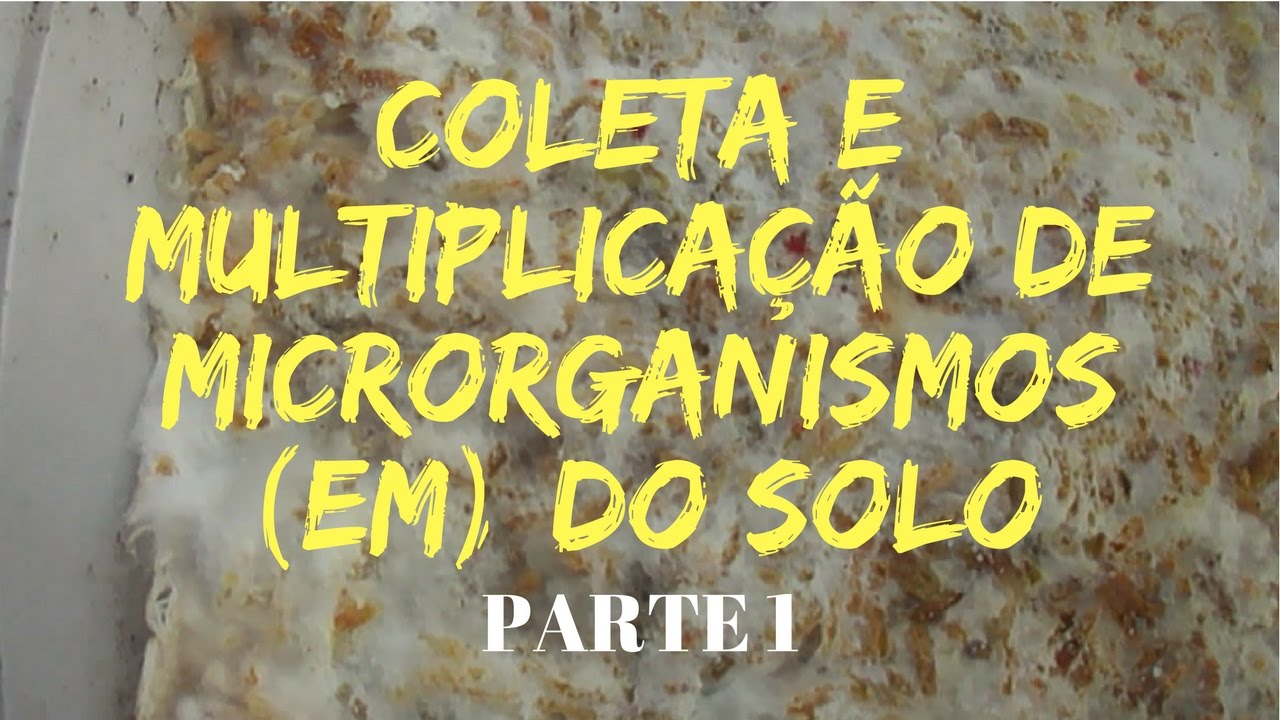 Coleta e multiplicação de microrganismos (EM) - Parte 1