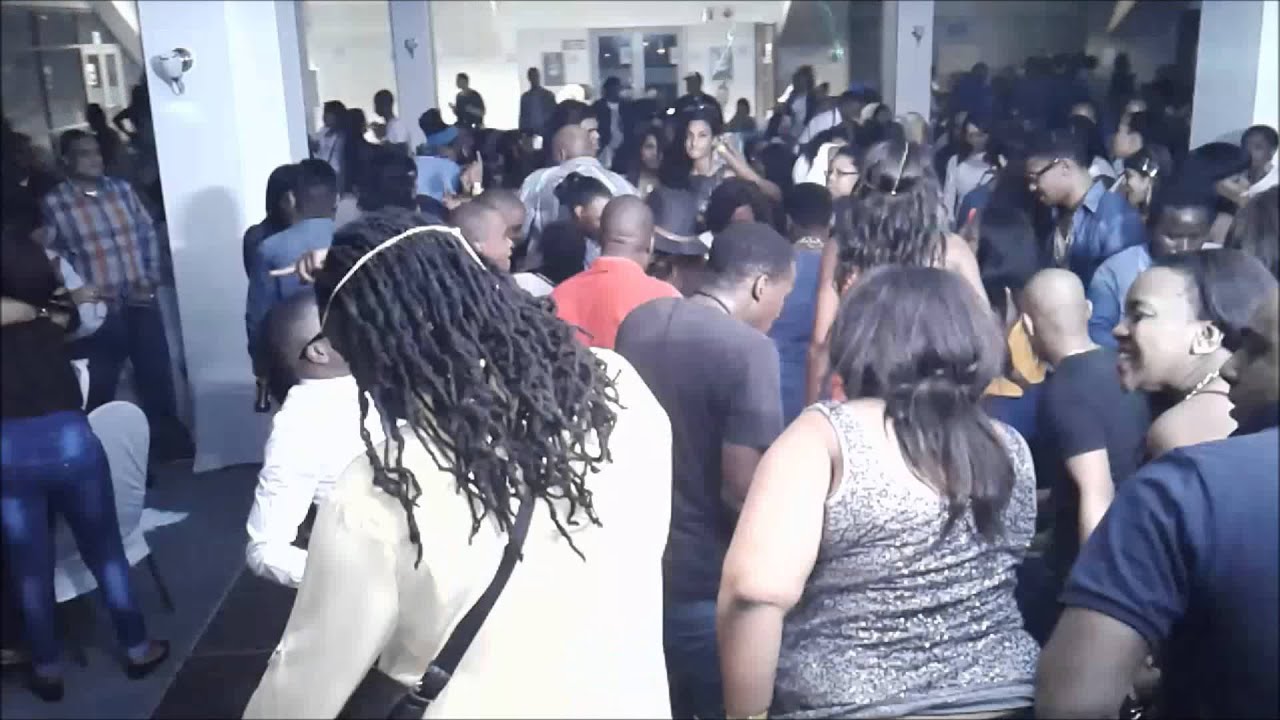 Disco FreeMind - #DFM