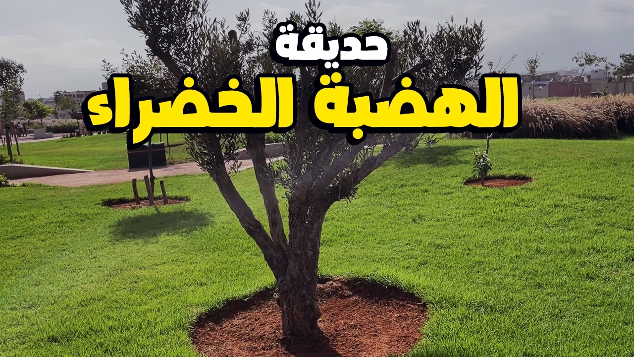 حديقة الهضبة الخضراء بعد أكثر من شهرين من إفتتحها