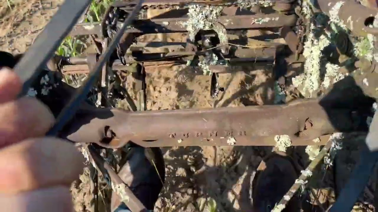 Cultivating with mules