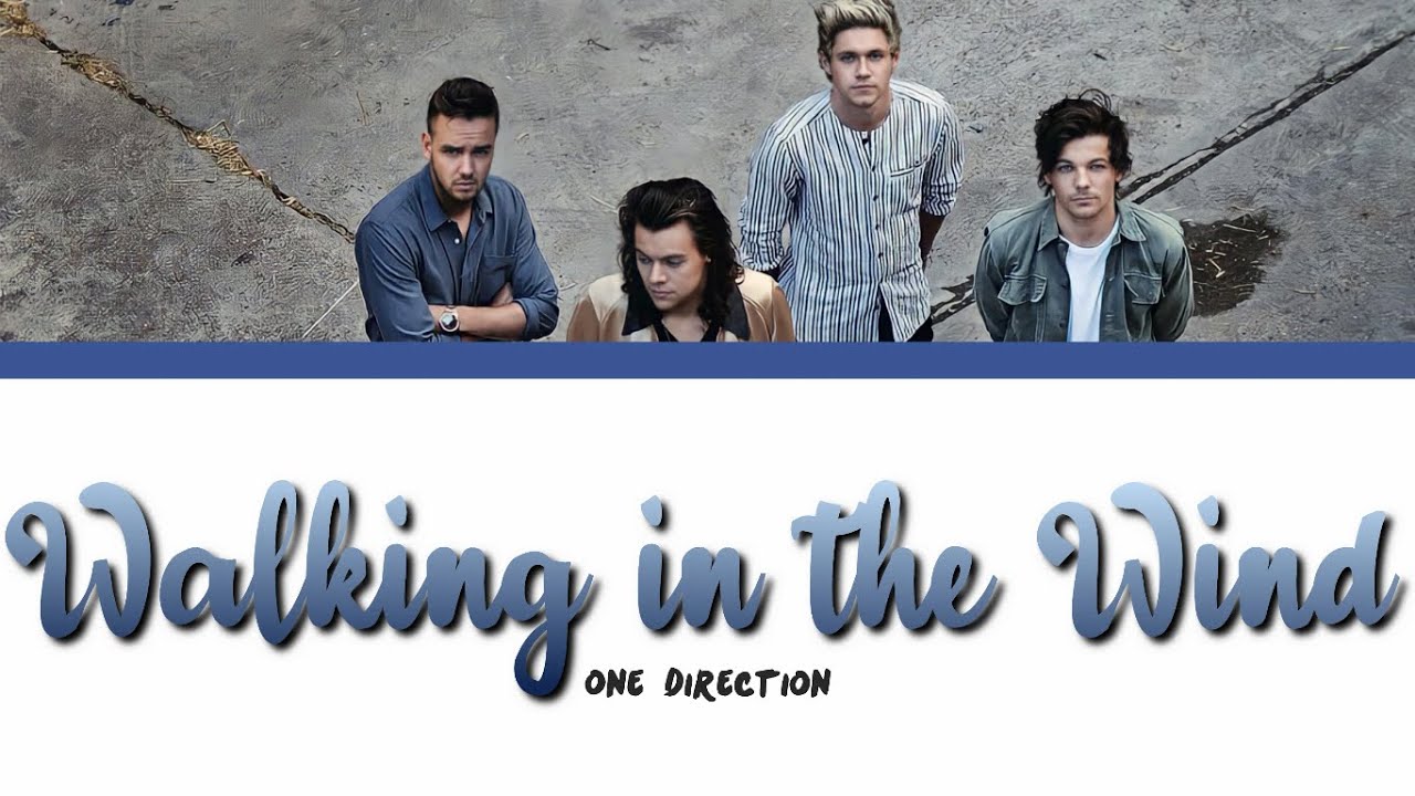 ONE DIRECTION - WALKING IN THE WIND lyrics (Color Coded)