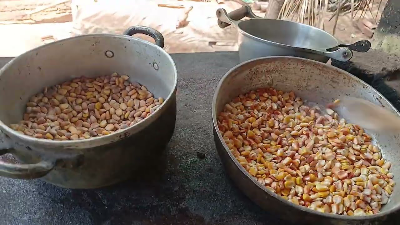 Torrando milho pra fazer Fubá 