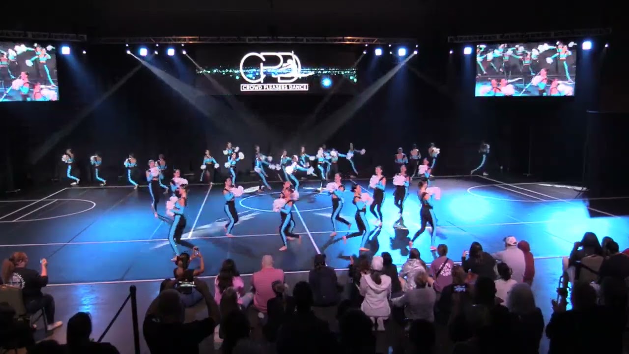 TMHS Silver Stars Team Pom 2024