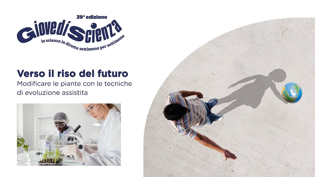 Verso il riso del futuro - Modificare le piante con le tecniche di evoluzione assistita
