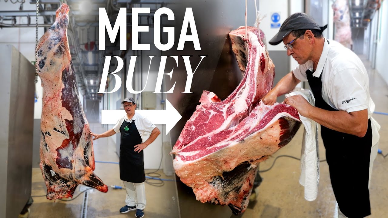 🔥El Buey Más Bestial que jamás Hemos Comprado (Obelix) | Etxezarreta