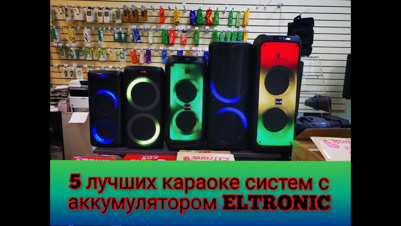 Обзор 5 Лучших акустических караоке систем ELTRONIC 2025/2026/2016/2018/2012/1027/1025/1023/1028