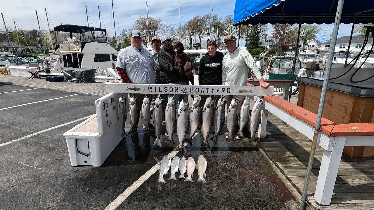 Lake Ontario Salmon Smackdown