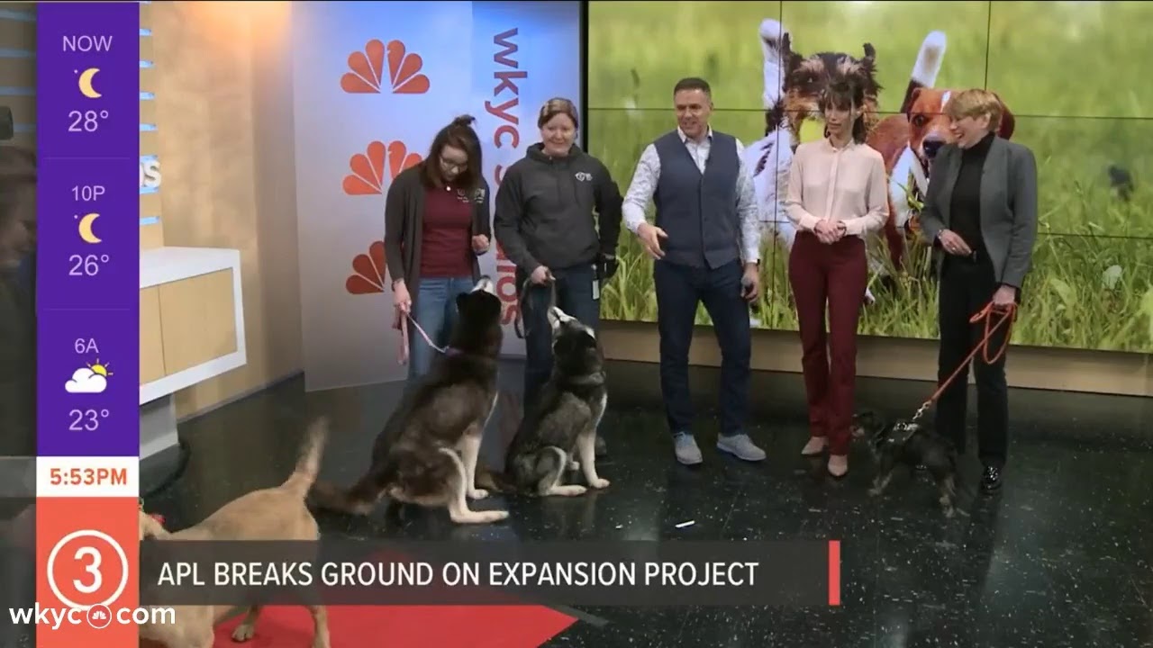 Watch: What's New with Betsy Kling and Jay Crawford for February 19, 2020