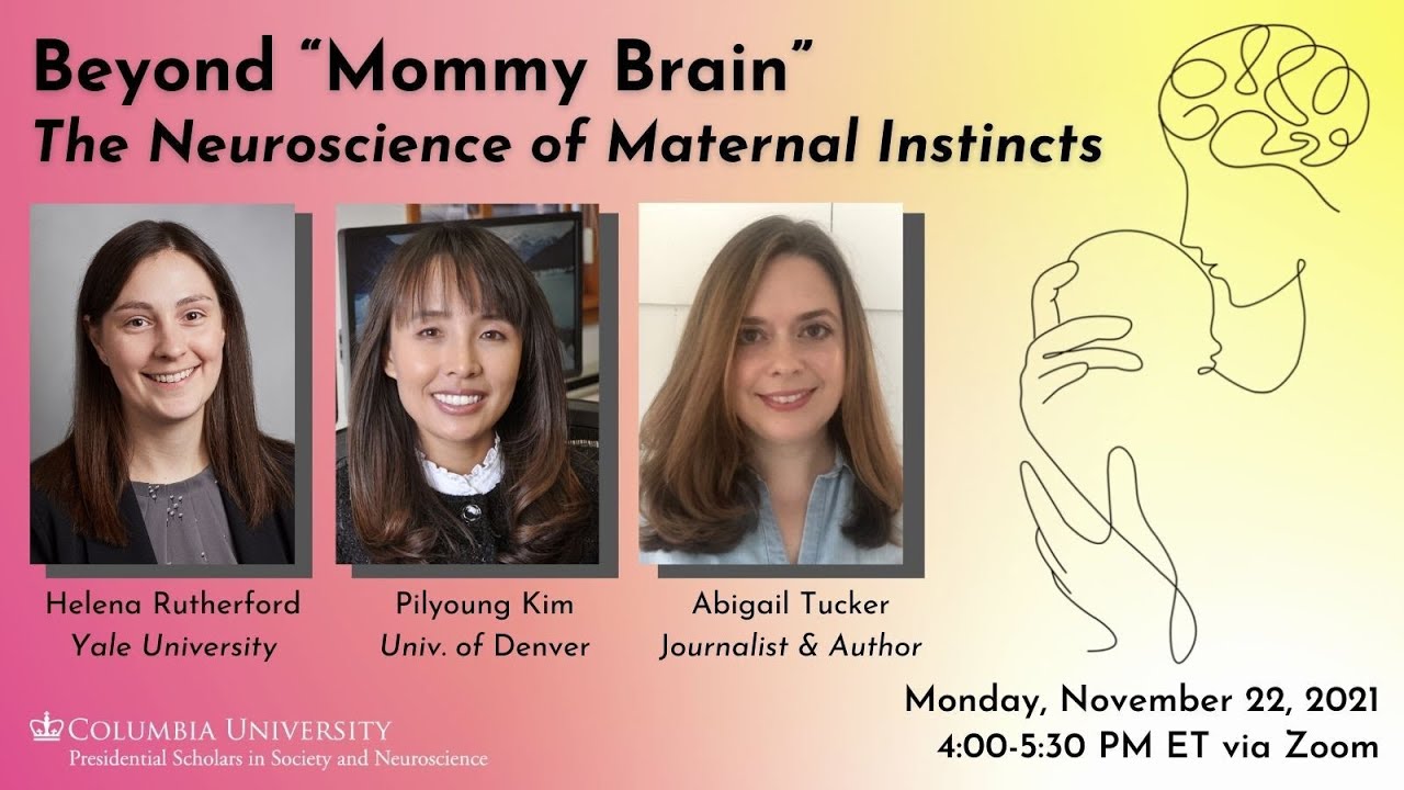 Beyond “Mommy Brain”: The Neuroscience of Maternal Instincts