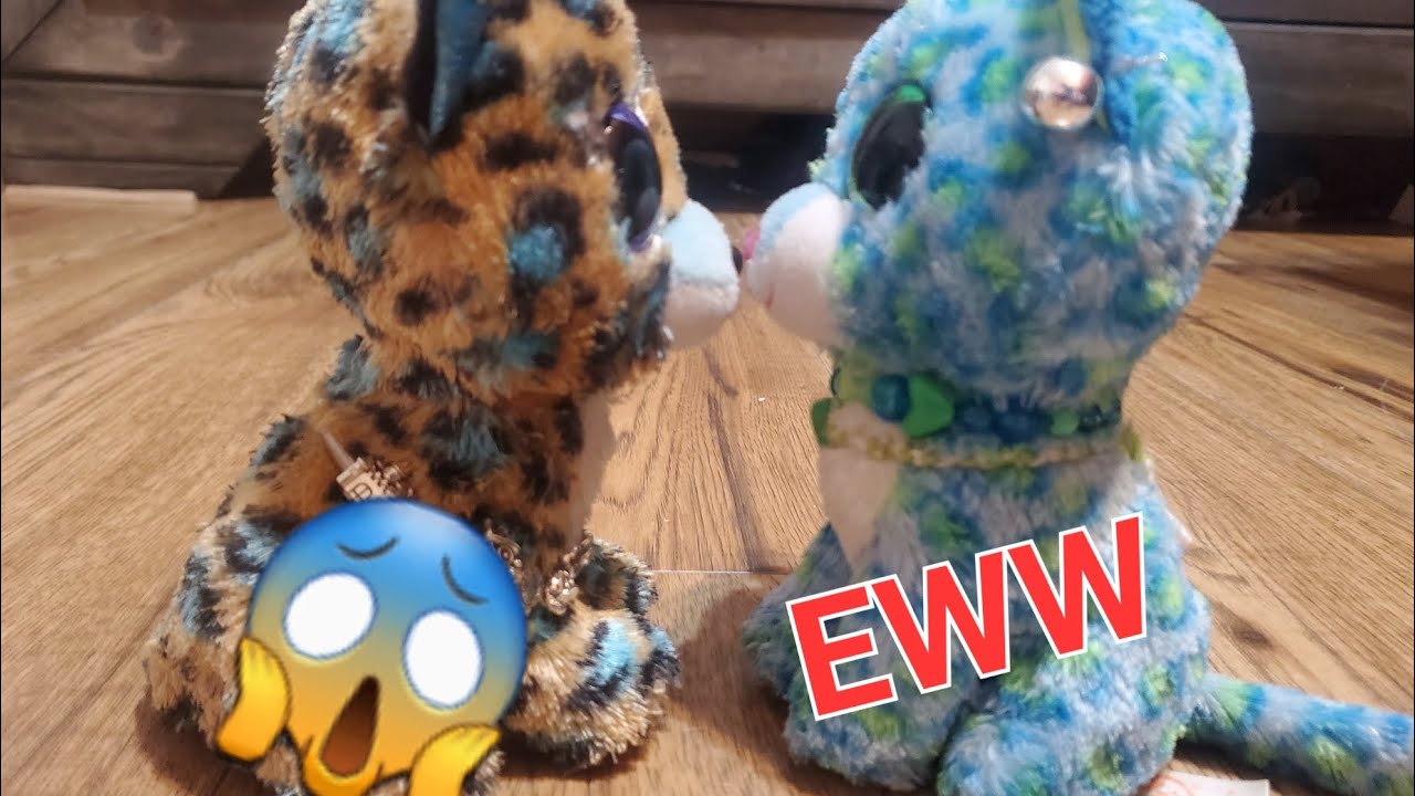 Shenanigans!! Episode 2   (A beanie boo skit)