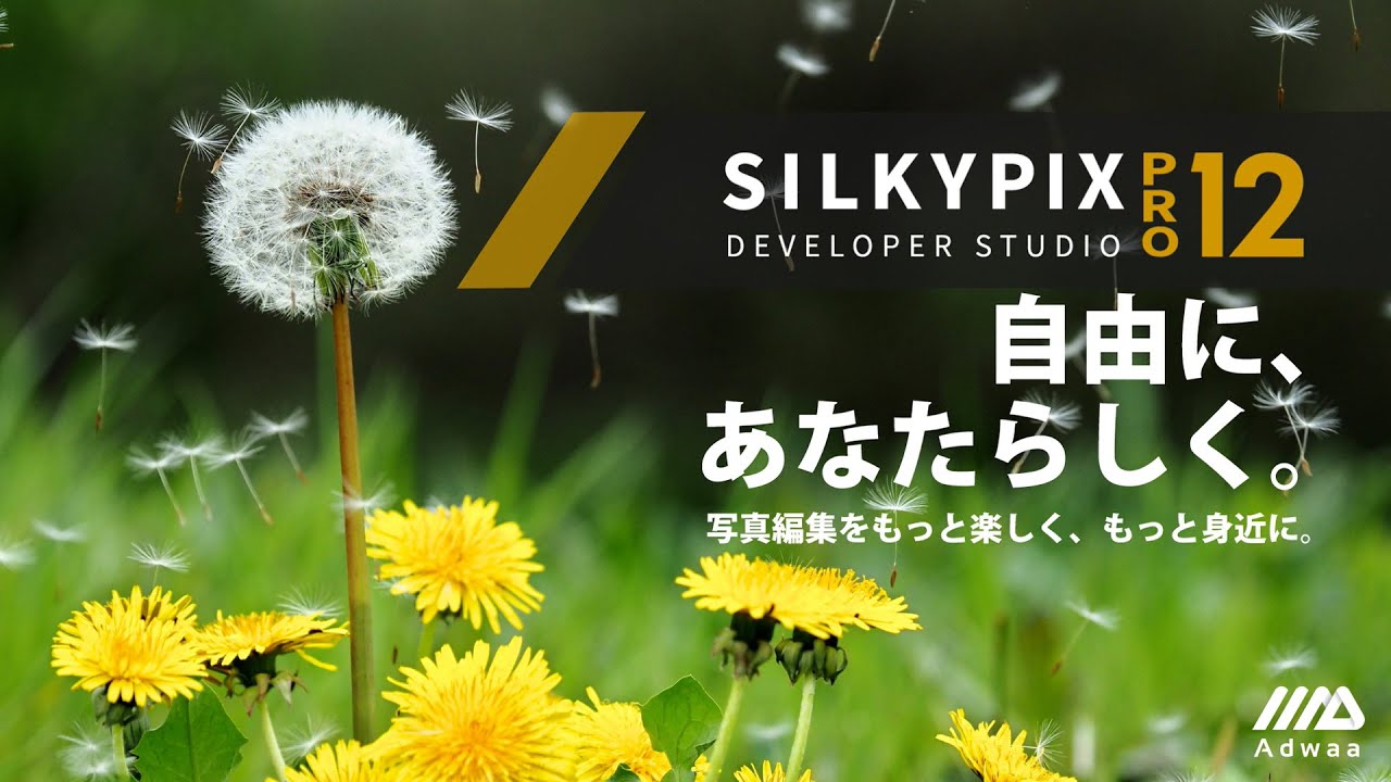 SILKYPIX Developer Studio Pro12