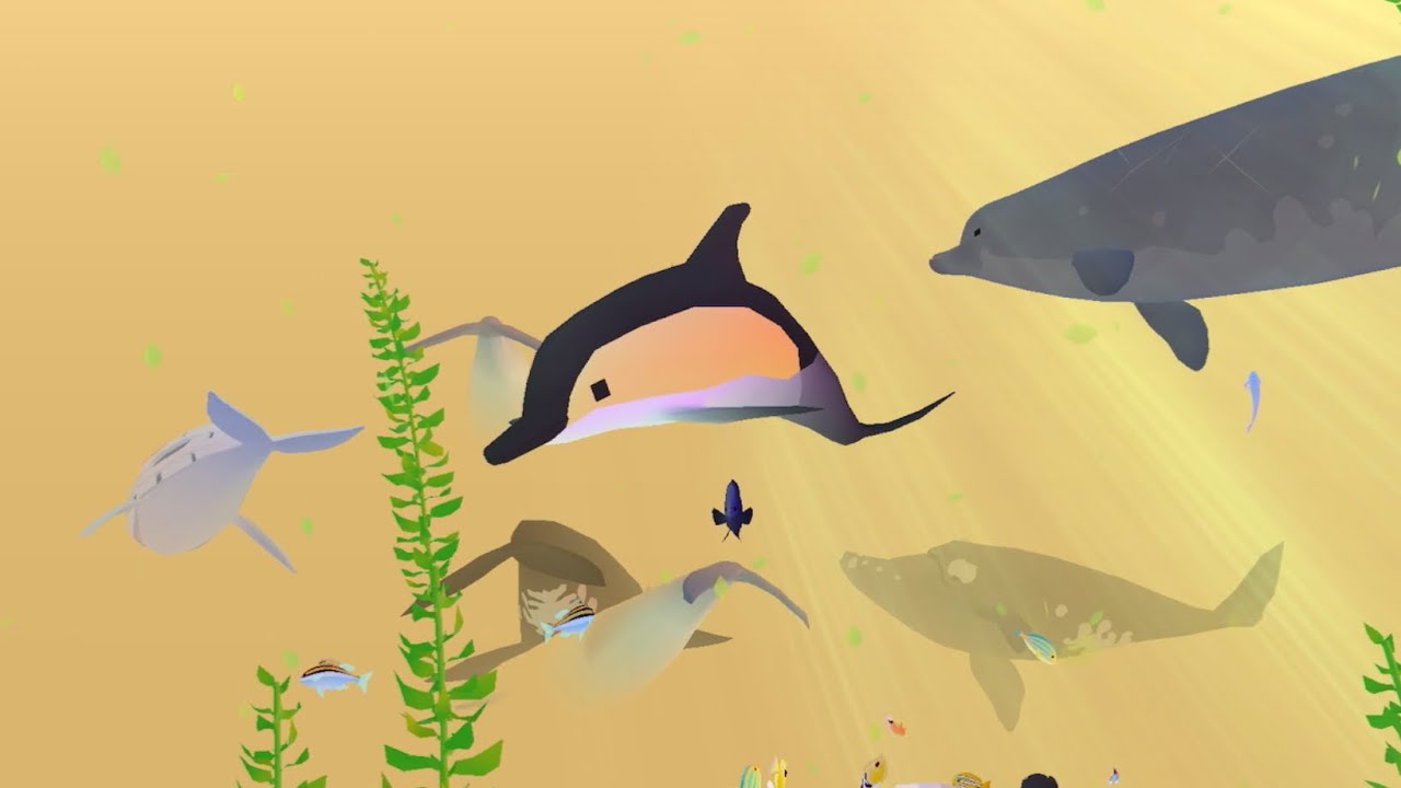 Tap tap fish aquarium #aquariumfish #aquarium 