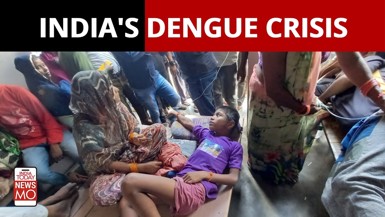 How Dengue Has Led To A Health Crisis In India | NewsMo