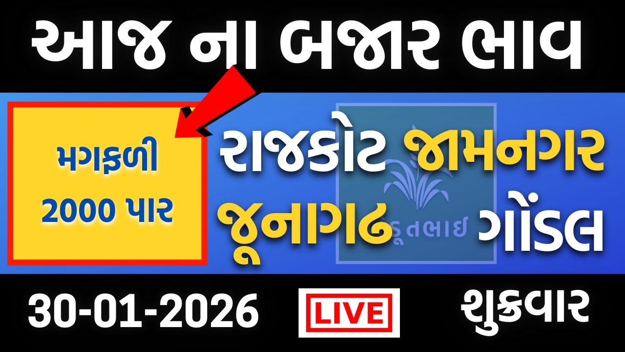 મગફળીમાં મોટો ઉછાળો |  30 01 2026 આજના બજાર ભાવ | રાજકોટ, ગોંડલ, જામનગર, જૂનાગઢ | ગોંડલ યાર્ડ ના ભાવ