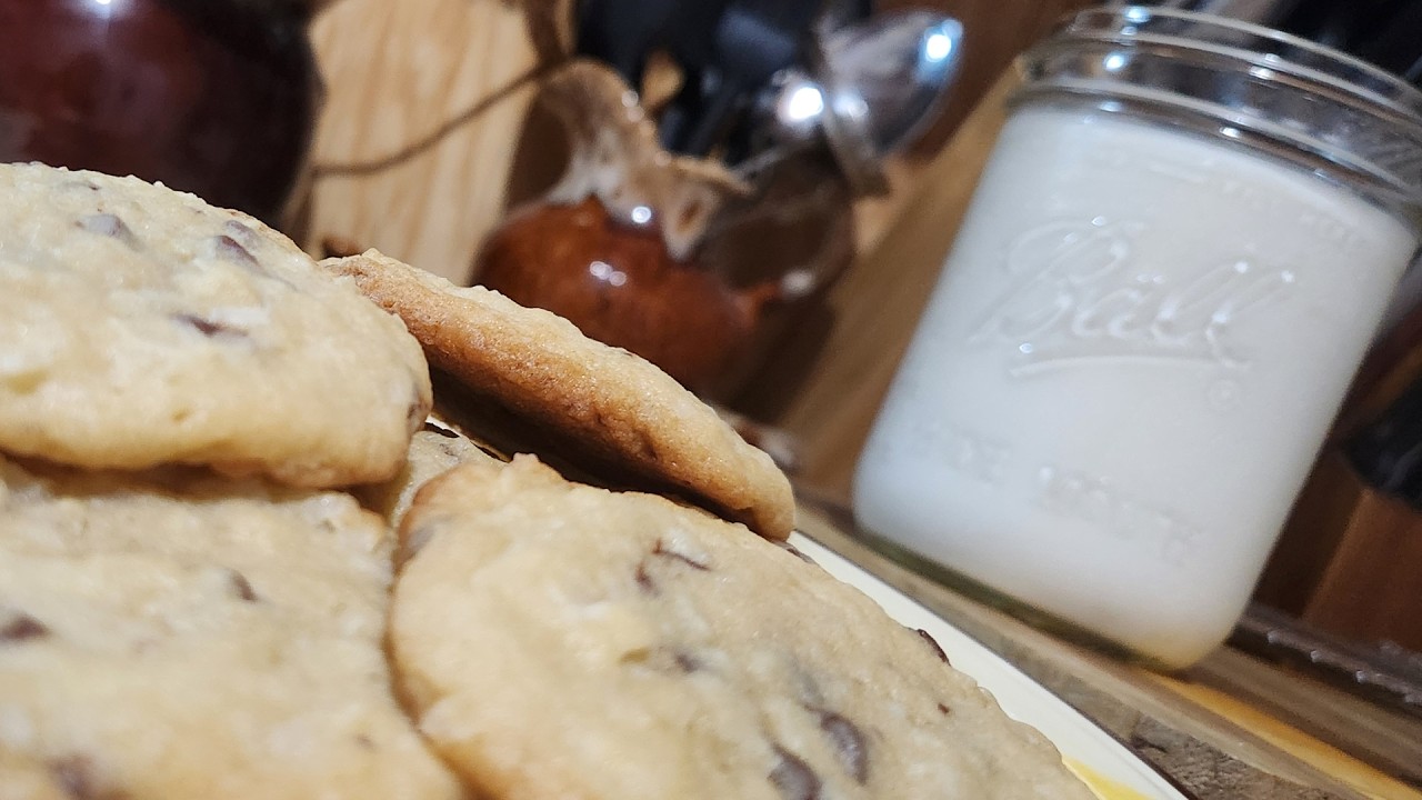 Coconut Chocolate Chip Cookies
