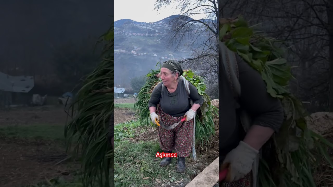 Karadeniz Kadının Sıradan Bir G&uuml;n&uuml;, D&uuml;zk&ouml;y/Trabzon