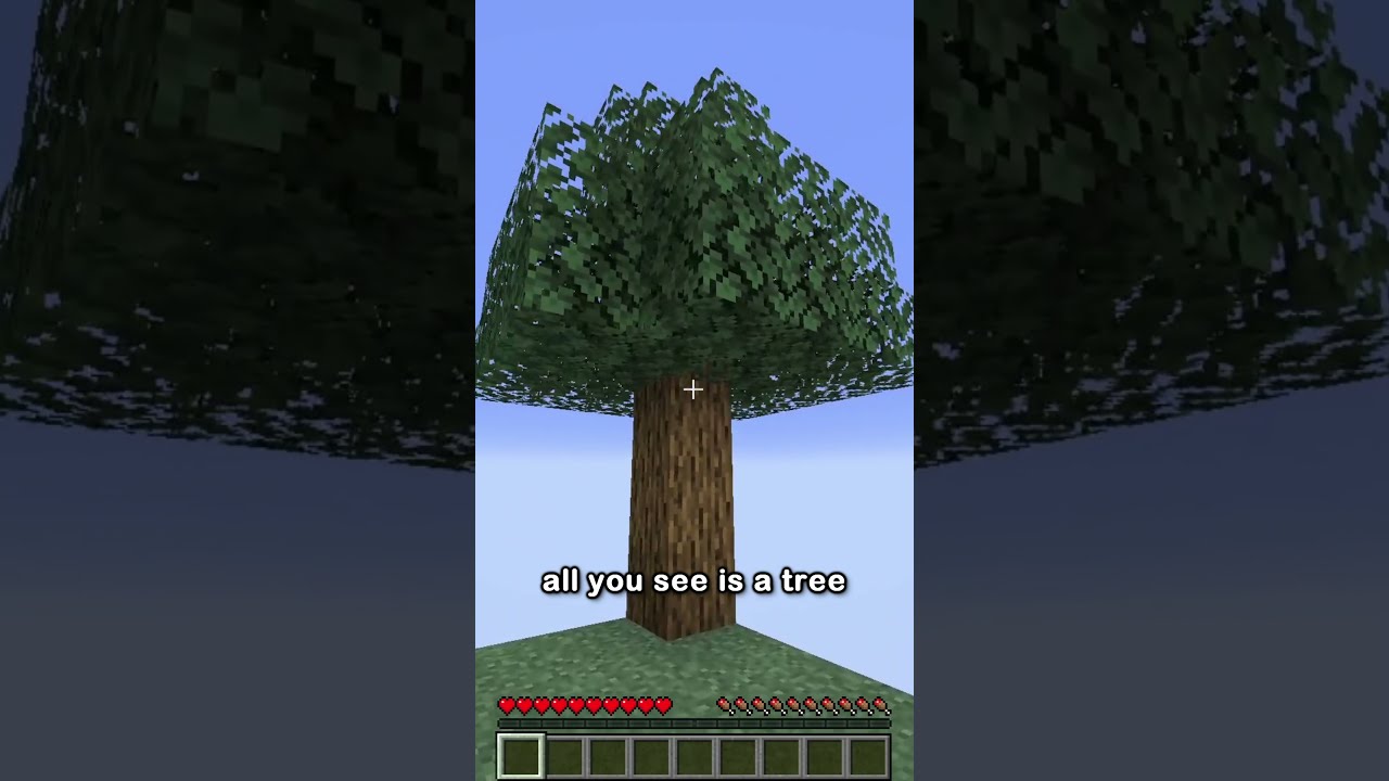 skyblock in 44 seconds