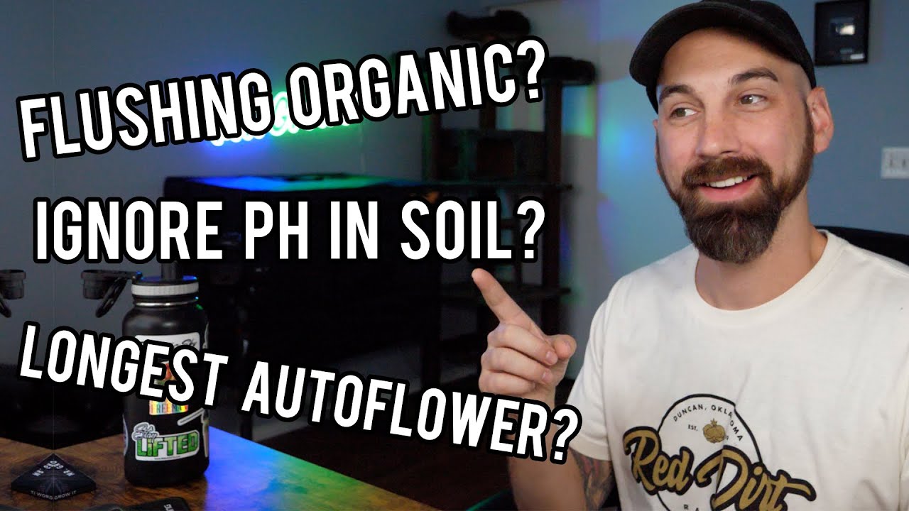 Intriguing Gardening Questions... ANSWERED! (Q&A #10)
