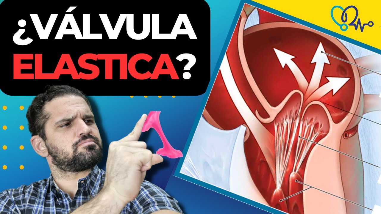 PROLAPSO e INSUFICIENCIA de la válvula MITRAL.¿RIESGOS? ⚠🤔