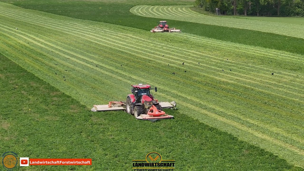 Das schaffen wir in 2 Stunden! Gro&szlig;einsatz Gr&uuml;nlandernte Kleegras, Heu, Silage Tierfutter Ernte