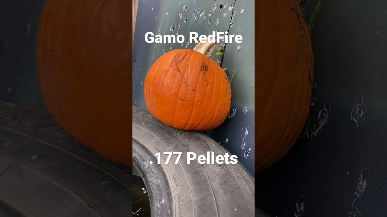 Gamo RedFire .177 Pellets 💥#pelletgun #airrifleshooting #plinking #pellets #.177 #outdoors