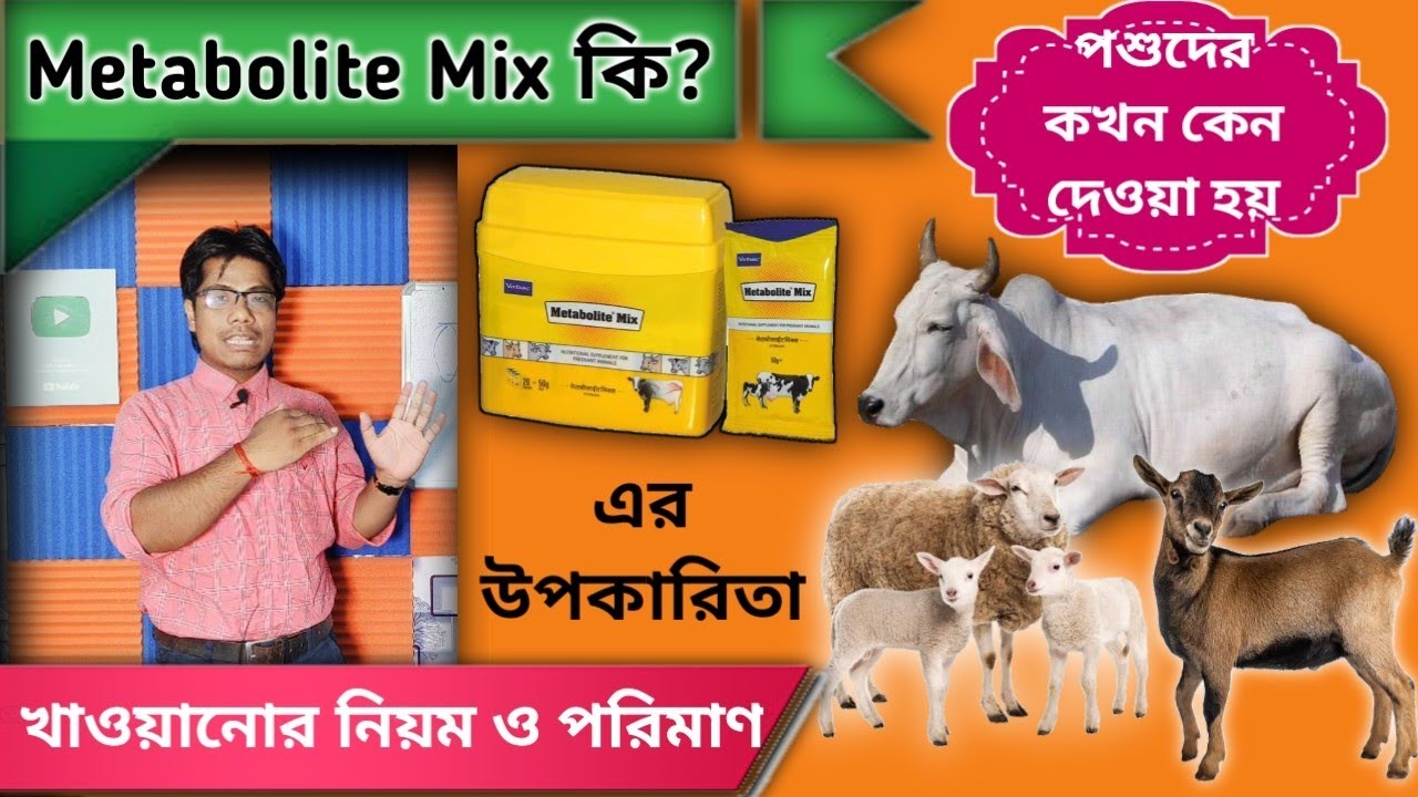 এই পাউডার টি কি? পশুকে কেন দেওয়া হয় || What is Metabolite Mix Powder?