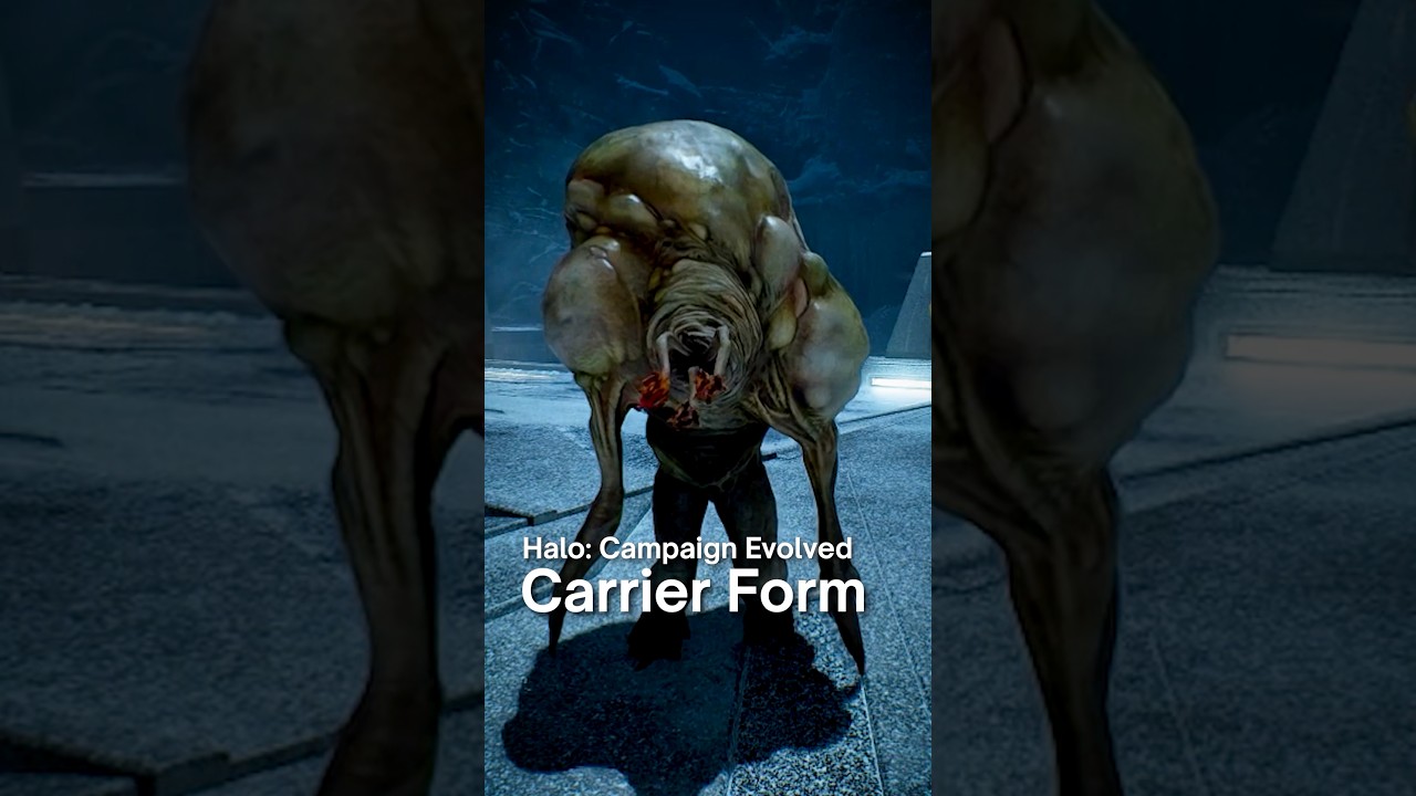 Every Type of Flood Form | Halo: Campaign Evolved (2026)